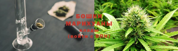 гидра Липки