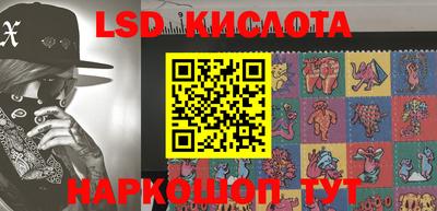 прущие грибы Моздок