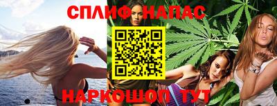 прущие грибы Моздок