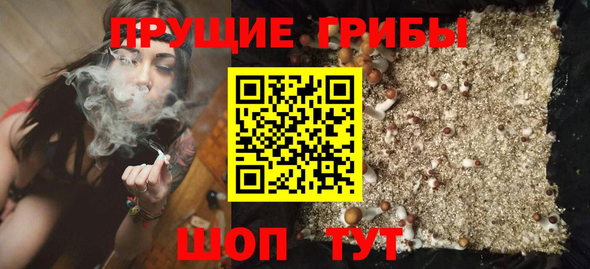 где купить   Галлюциногенные грибы Cubensis  Вход с VPN  Тутаев 